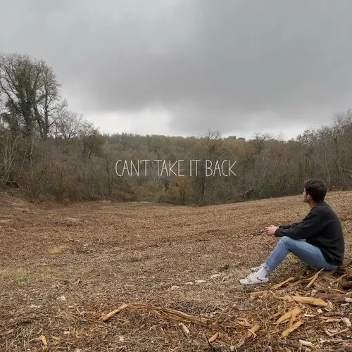 Can't Take It Back (single, 2021) de Benjamin Charrier (pop). Prise de son, mixage, mastering : EMHR Studio.